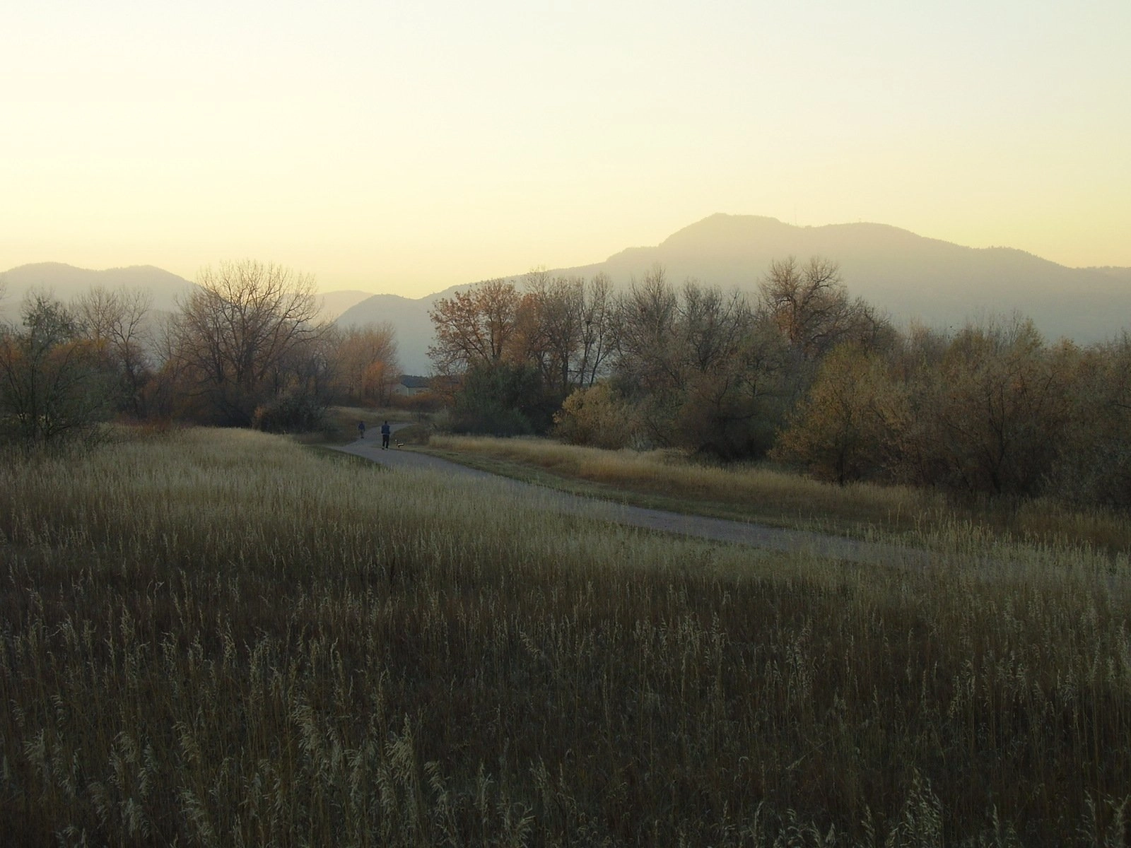 2016. november